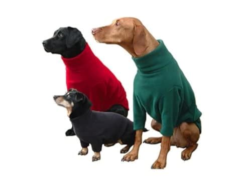 Hotterdog Jersey Medio Verde - Animalerie Amazon Espagne à 20.12€