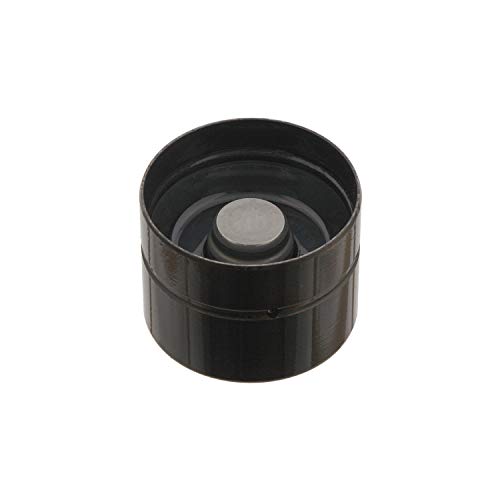 febi bilstein 19800 Hydraulic Tappet, pack of one - Animalerie Amazon Royaume-Uni à 10.81€