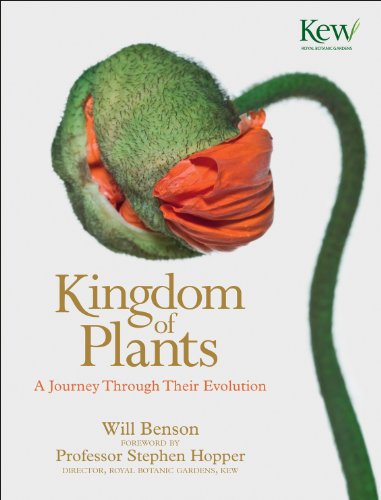 Kingdom of Plants: A Journey Through Their Evolution - Jardin & Extérieur en promo à 1.99€