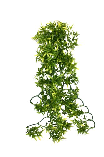 Komodo Croton Plant Cage Decor for Terrarium Vivarium... - Nouvelle promo Amazon à 6.99€