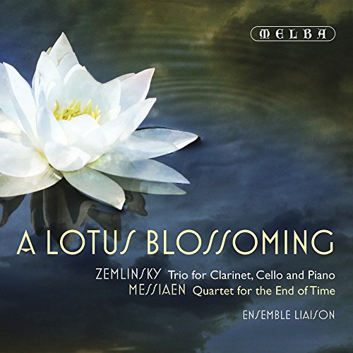 A Lotus Blossoming - Livres & eBooks Amazon Espagne à 8.55€