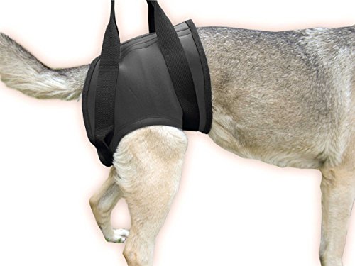 Julius y K9 Arnés de rehabilitación para patas delanteras... - Home & Kitchen Amazon Spain à 41.44€