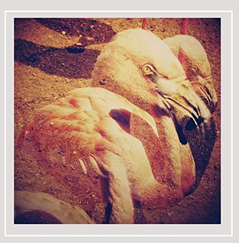 by The Neck - Musique & Instruments Amazon France à 18.28€