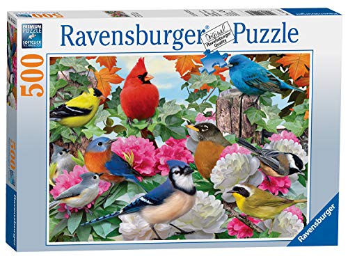Ravensburger Puzzle Oiseaux de Jardin 500 pièces pour... - Jouets & Jeux Amazon France à 23.89€