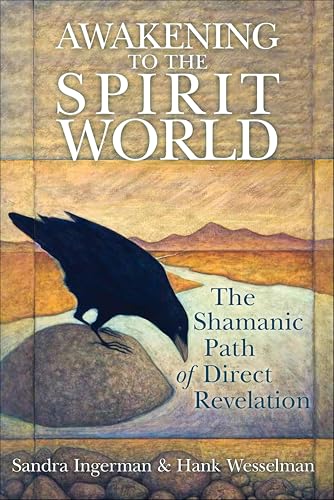 Awakening to the Spirit World: The Shamanic Path of Direct... - Bon plan à 2.99€