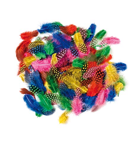 Baker Ross Sachet de plumes multicolores et tachetées... - Jouets & Jeux Amazon France à 5.49€
