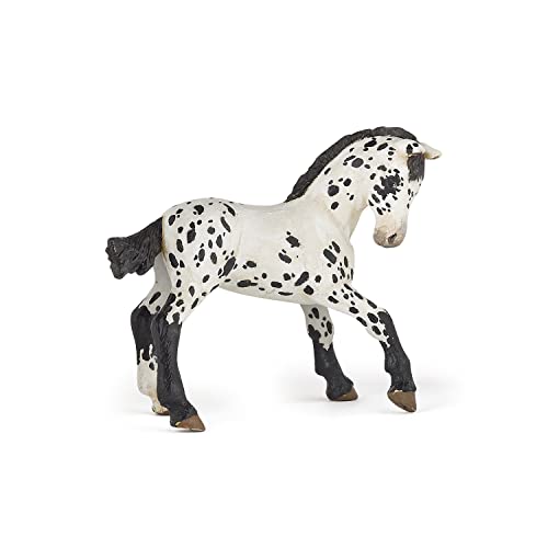 PAPO - 51540 - Figurine - Poulain Appaloosa - Noir - Jouets & Jeux Amazon France à 6.98€