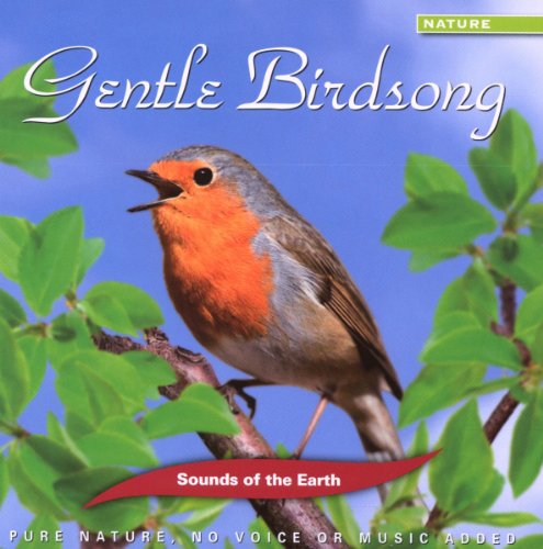 Gentle Birdsong - Musique & Instruments Amazon Italie à 5.67€