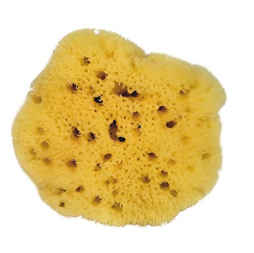 Croll & Denecke Naturschwamm, Natur, ca. 8 cm - Maison & Cuisine Amazon Allemagne à 4.49€