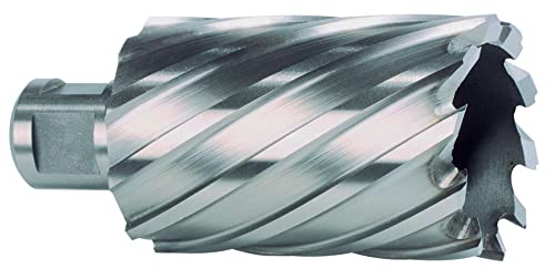Ruko HSS Core Drill Bit with 3/4 inch Weldon Shank, CBN... - Bricolage & Outils Amazon Royaume-Uni à 32.48€