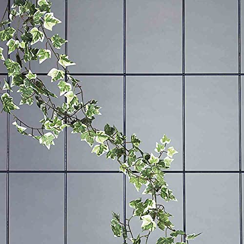 Siena Garden Spalier 5-strebig, 150x75cm, 763758 - Jardin & Extérieur Amazon Allemagne à 12.90€