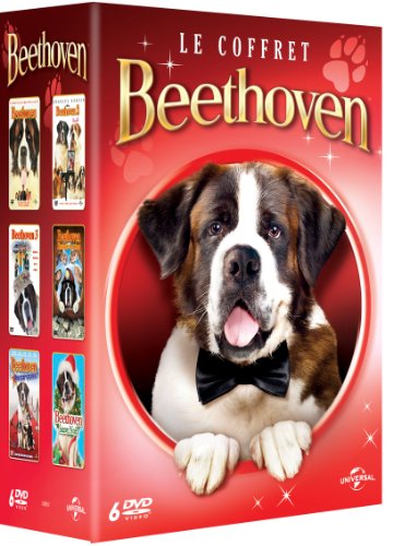 Beethoven - Le coffret - Musique & Instruments Amazon France à 22.00€