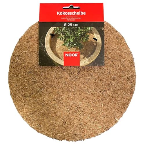 Noor Assiette en Noix de Coco Nature/Marron Ø 25 cm - Amazon France à 5.65€