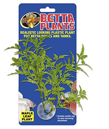 Zoomed Betta Plante Feuille Erable pour Reptile/Amphibien - Jardin & Extérieur Amazon France à 31.22€