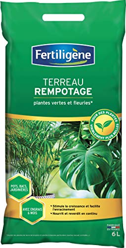 FERTILIGENE TERREAU REMPOTAGE 6L FREMP6P - Home & Kitchen Amazon Germany à 4.27€