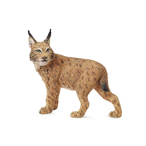 Collecta - 3388565 - Figurine - Wild Animals - Lynx - Toys & Games Amazon UK à 5.83€