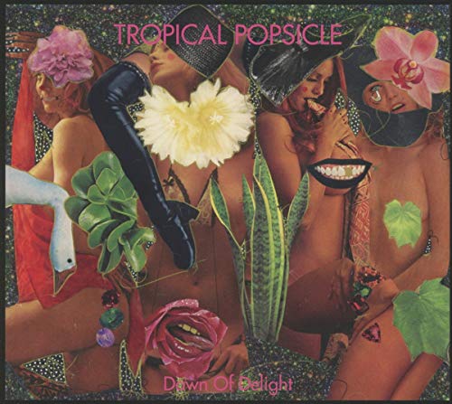 Dawn of Delight - Maison & Cuisine en promo à 18.92€