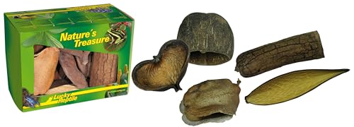 Lucky Reptile DB-01 Nature's Treasure Boîte avec Objets... - Nouvelle promo Amazon à 14.24€