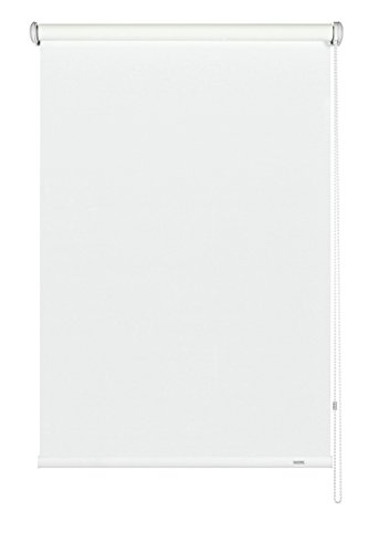 Gardinia Tenda a Rullo con Catenella Laterale... - Animalerie Amazon Italie à 28.79€