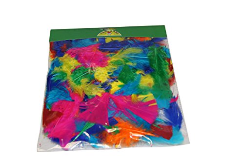 Le Géant de la fête - Bolsa de 100 plumas (10 cm)... - Loisirs Créatifs Amazon Espagne à 5.66€