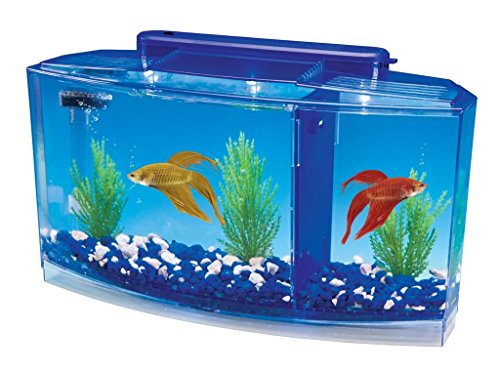 Penn-Plax Triple Aquarium pour Betta Deluxe pour... - Maison & Cuisine Amazon France à 24.35€
