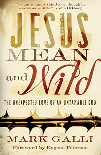 Jesus Mean and Wild: The Unexpected Love of an Untamable God - Bon plan à 1.59€