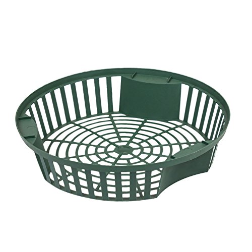 Prosper Plast IKCS265-G851 Lot de 12 paniers à oignons Vert... - Maison & Cuisine Amazon France à 7.65€