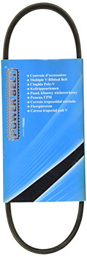 MAPCO Cinghia Poly-V 230560 - High-Tech & Électronique Amazon Italie à 4.57€