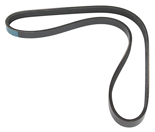 MAPCO Cinghia Poly-V 240895 - High-Tech & Électronique Amazon Italie à 3.90€