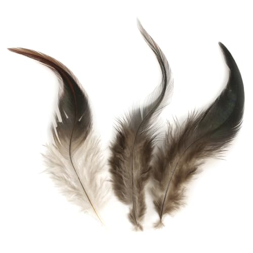 Rayher Piume Gallo, Marrone Scuro, 10-15 Cm, Busta 3 G... - Bon plan à 3.29€