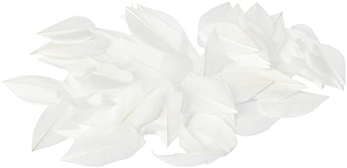 Artemio 3 g de Plumes Lisses Blanches - Loisirs Créatifs Amazon France à 1.61€
