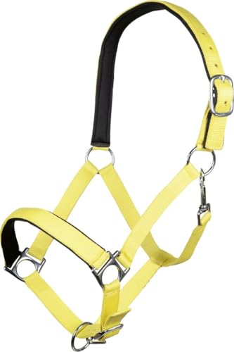 HKM -Stars Softice- Halfter Pferd | Weich Unterlegt, mit... - Amazon Allemagne à 10.95€