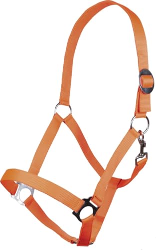 HKM Stars Economy Softice Halfter Neon orange Vollblut - Amazon Allemagne à 4.95€