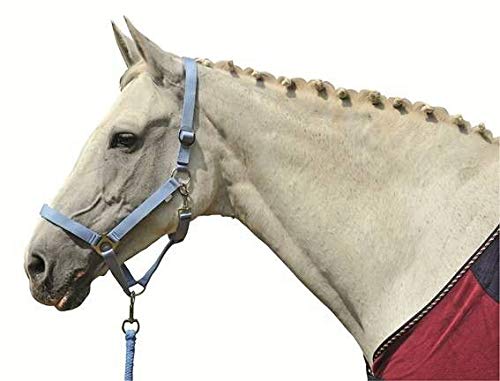 HKM 558585 Halfter Stars Economy - Deal du jour à 5.95€