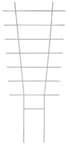 Connex FLOR78311 77 x 34 cm Flower Supports - Multi-Colour - Garden & Outdoor Amazon UK à 7.85€
