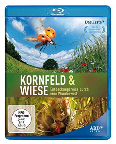 Kornfeld und Wiese - Entdeckungsreise durch eine Wunderwelt - Livres & eBooks Amazon Italie à 7.37€