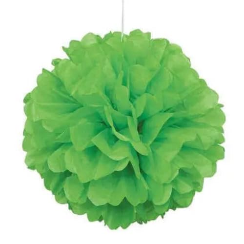 Unique Party 64274 - 40cm Pompon in Carta Velina Verde Lime... - Auto & Moto Amazon Italie à 2.99€