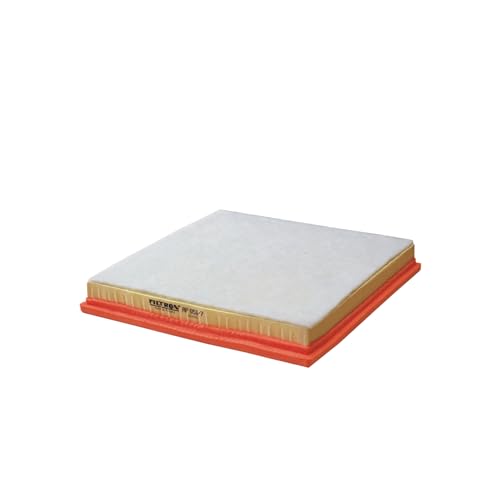 FILTRON AP 051/7 Filtre à air - pour VÉHICULE DE TOURISME +... - Auto & Moto en promo à 11.88€