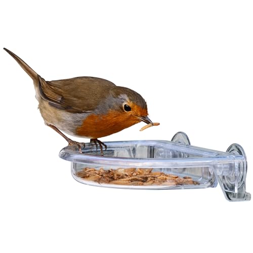 Small Easy Clean Garden Window bird feeders - Jacobi Jayne®... - Animalerie Amazon Royaume-Uni à 3.99€
