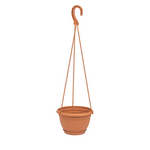 Jardinière suspendue AGRO 1,2L, dimensions (mm)... - Jardin & Extérieur Amazon France à 1.75€