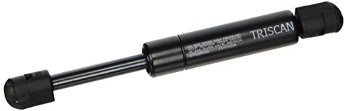 Triscan 8710 28105 - Ammortizzatore Pneumatico, Cofano... - Auto & Motorcycle Amazon Italy à 9.72€