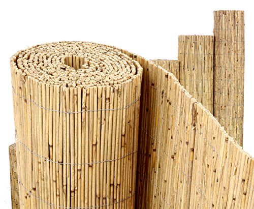 Bambus-Discount Beach Tapis brise-vue en roseau 100 x 300 cm - Jardin & Extérieur Amazon France à 15.42€