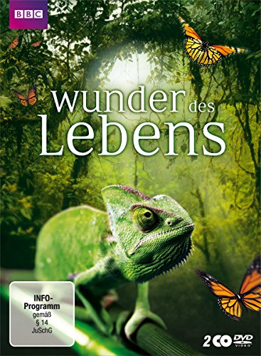 Wunder des Lebens - Musique & Instruments Amazon Italie à 6.15€