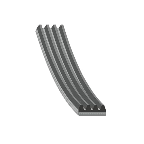 Blue Print AD04R1183 Cinghia Poly-V - Amazon Italie à 7.91€