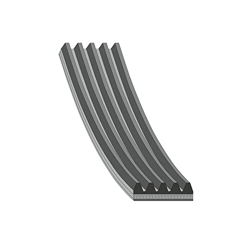 Blue Print AD05R935 Correa Trapecial Poli V - Amazon Espagne à 7.48€