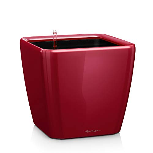LECHUZA QUADRO Premium LS 43 rosso scarlatto lucido 16187 - Auto & Motorcycle Amazon Italy à 41.26€