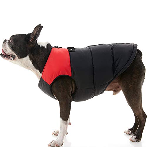 GOOBY Gilet Imbottito per Cani di Piccola Taglia con... - Amazon Italy à 10.31€