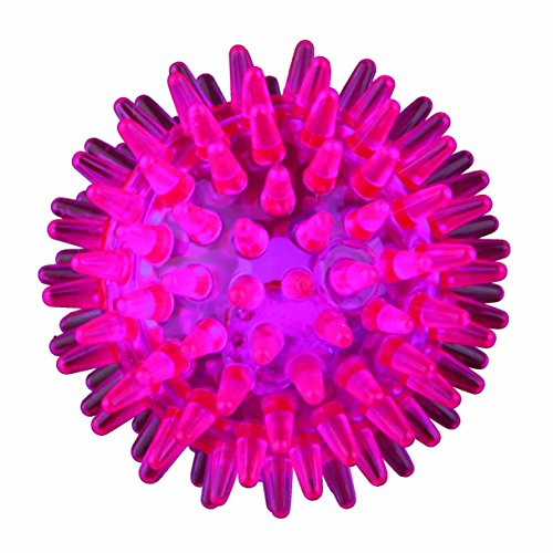 Trixie PelotaErizo Flashing,CauchoTermoplástico(TPR),ø5cm... - Amazon Spain à 2.99€