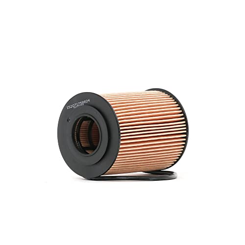 Magneti Marelli 5650380 Filtro Olio - Sports & Fitness Amazon Italie à 5.24€
