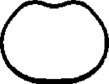 Corteco 450136H Guarnizione, Collettore aspirazione - Vente Flash Amazon -72%